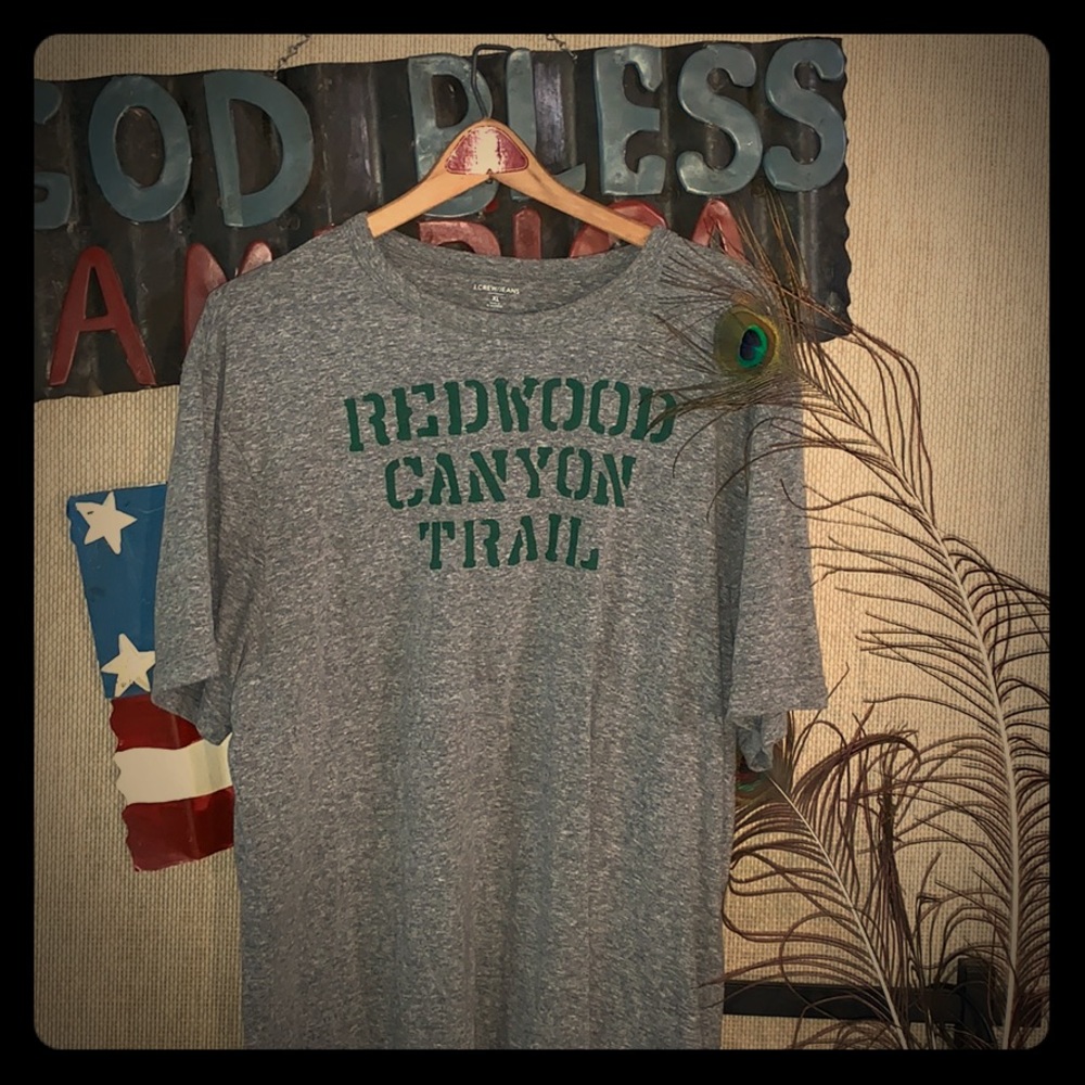 J. Crew Broken In Graphic T